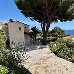 Piccolina Aiguebelle Lavandou Face Aux Iles
