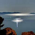 Piccolina Aiguebelle Lavandou Face Aux Iles