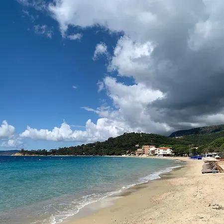 Villa Piccolina Aiguebelle Lavandou Face Aux Iles Le Lavandou