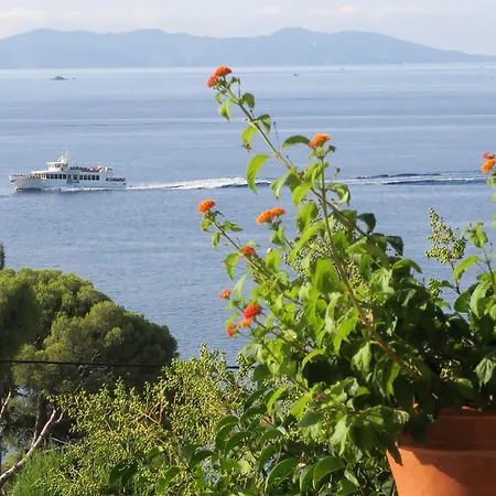 Piccolina Aiguebelle Lavandou Face Aux Iles Villa