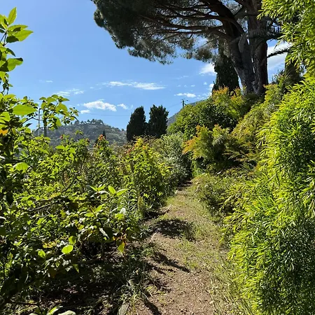 Villa Piccolina Aiguebelle Lavandou Face Aux Iles Le Lavandou