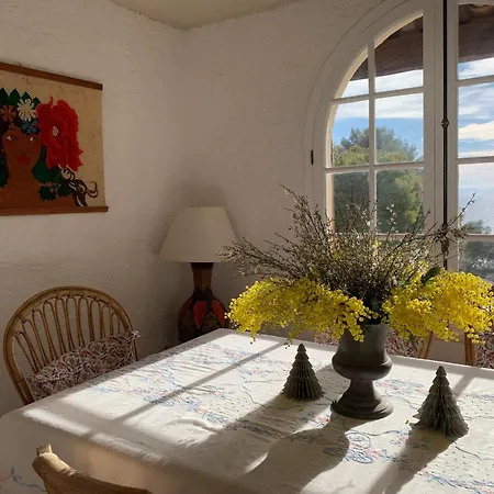 Piccolina Aiguebelle Lavandou Face Aux Iles Le Lavandou