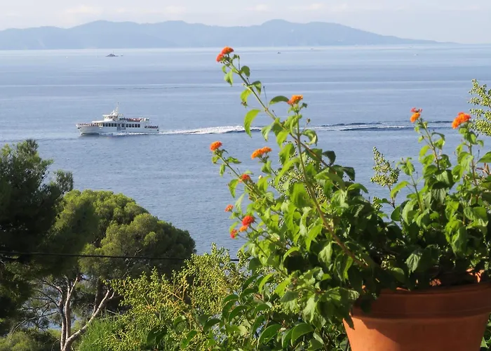 Piccolina Aiguebelle Lavandou Face Aux Iles Villa
