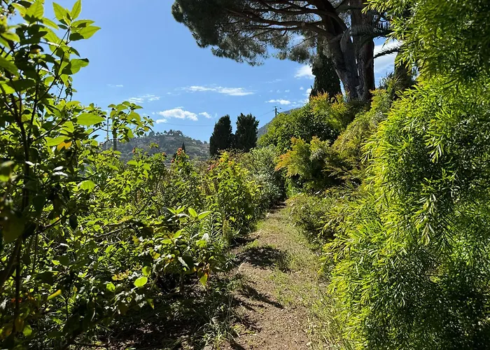 Villa Piccolina Aiguebelle Lavandou Face Aux Iles Le Lavandou